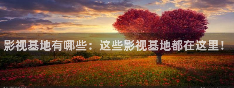 神马库电影：影视基地有哪些：这些影视基地都在这里！
