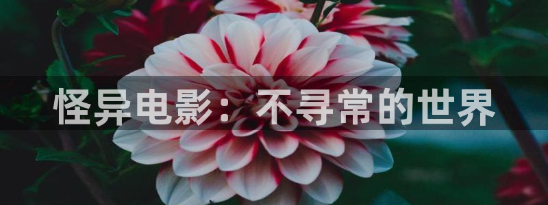 神马影院8888t：怪异电影：不寻常的世界