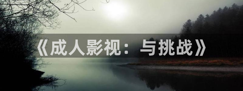 神马影院私人影院：《成人影视：与挑战》
