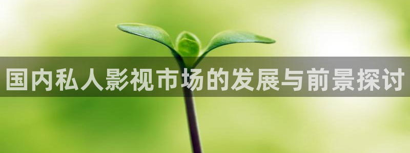 神马影院在线观看不卡：国内私人影视市场的发展与前景探讨