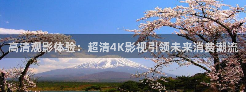 神马影院0：高清观影体验：超清4K影视引领未来消费潮流