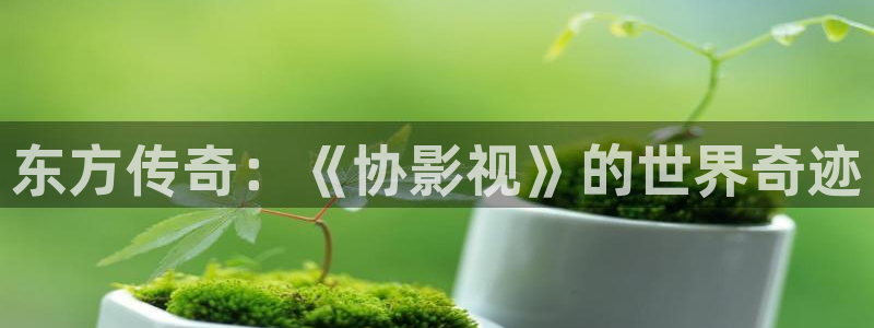 神马影院第九神：东方传奇：《协影视》的世界奇迹