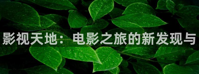 神马久久影院在线：影视天地：电影之旅的新发现与