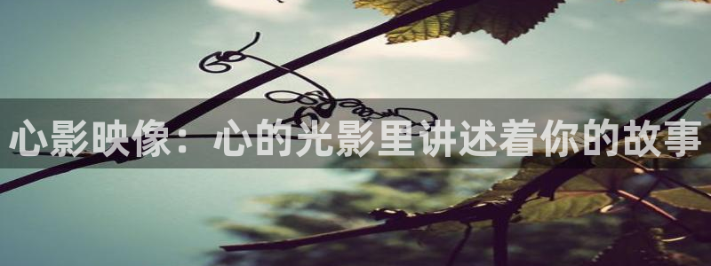 未来影院 神马电影：心影映像：心的光影里讲述着你的故事