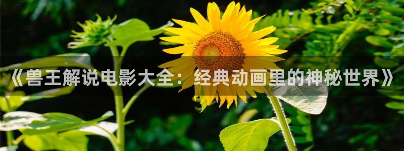 韩国理论神马电影：《兽王解说电影大全：经典动画里的神秘世界》