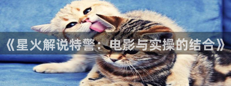 午夜伦理神马影院：《星火解说特警：电影与实操的结合》