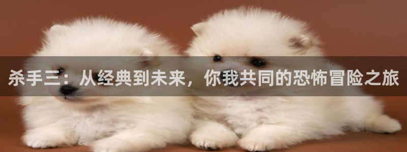 神马电影光棍：杀手三：从经典到未来，你我共同的恐怖冒险之旅