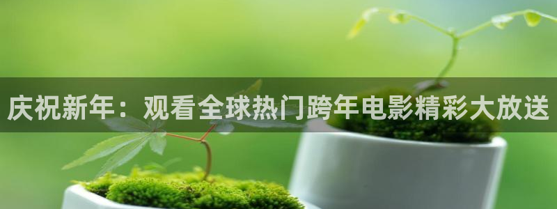 神马鲁丝电影：庆祝新年：观看全球热门跨年电影精彩大放送