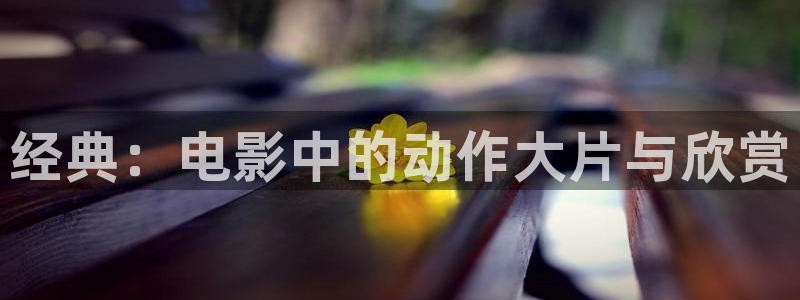 神马影院亚洲夫妻在线观看：经典：电影中的动作大片与欣赏