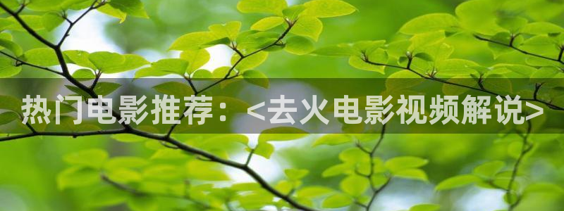 琪琪神马电影院：热门电影推荐：<去火电影视频解说>