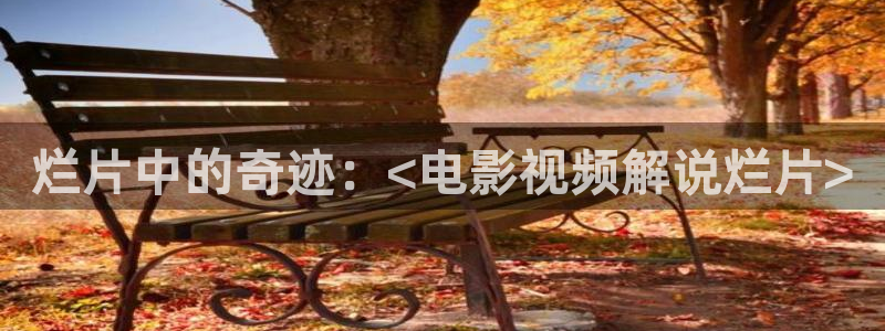 神马私人影院在线：烂片中的奇迹：<电影视频解说烂片>