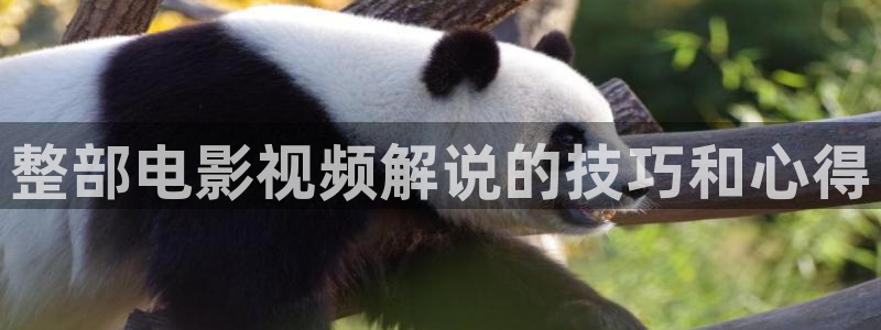 神马手机我不卡：整部电影视频解说的技巧和心得