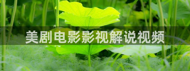神马电影完整版免费观看：美剧电影影视解说视频