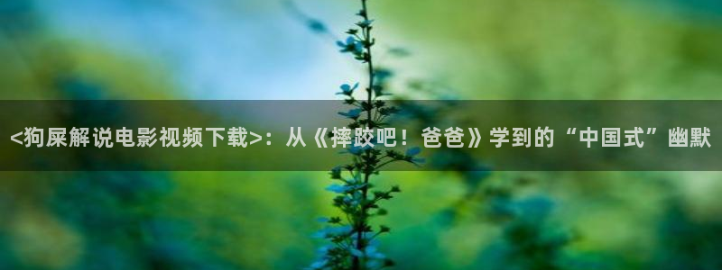 神马影院2017：<狗屎解说电影视频下载>：从《摔跤吧！爸爸》学到的“中国式”幽默