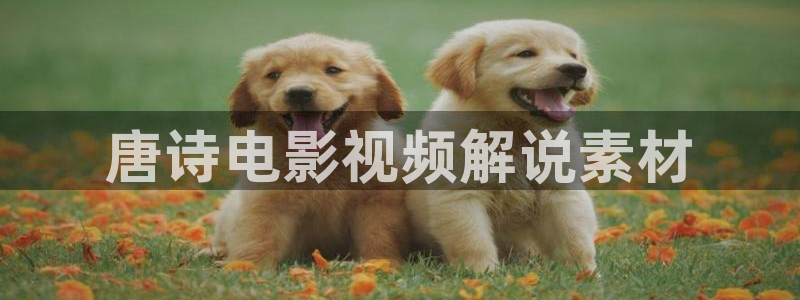 神马影视在线观看伦理：唐诗电影视频解说素材