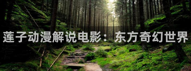 神马影院在线成人：莲子动漫解说电影：东方奇幻世界
