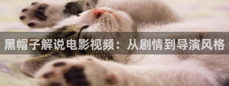 神马推理电影在线播放：黑帽子解说电影视频：从剧情到导演风格