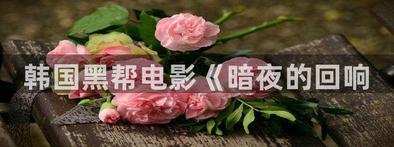 神马网不卡影院：韩国黑帮电影《暗夜的回响