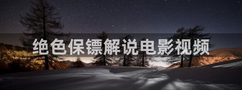 神马影院我不卡52：绝色保镖解说电影视频