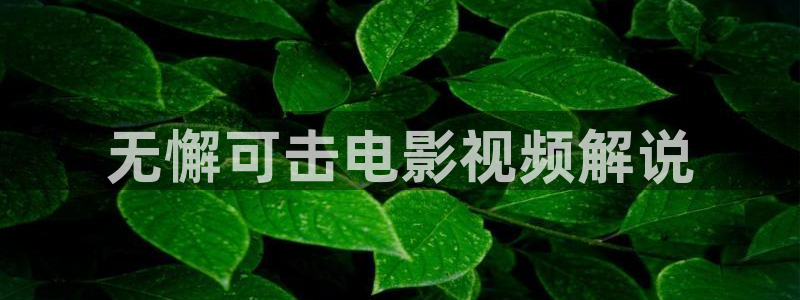 神马影院手机播放：无懈可击电影视频解说