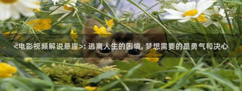 午夜影院神马电影：<电影视频解说悬崖>: 逃离人生的困境, 梦想需要的是勇气和决心