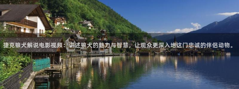 无颜之月神马影院：捷克狼犬解说电影视频：讲述狼犬的魅力与智慧，让观众更深入地这门忠诚的伴侣动物。