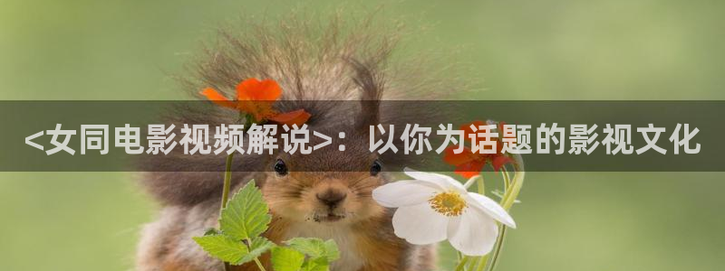 1024神马影院：<女同电影视频解说>：以你为话题的影视文化