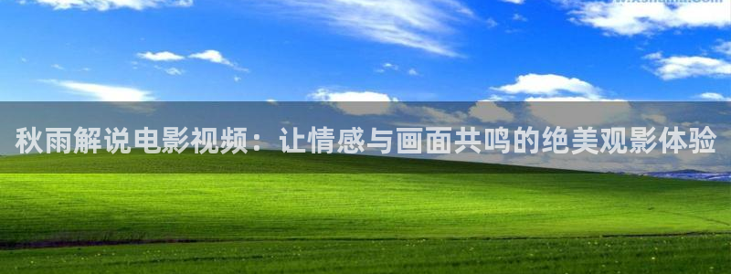 神马影院午夜a电影：秋雨解说电影视频：让情感与画面共鸣的绝美观影体验