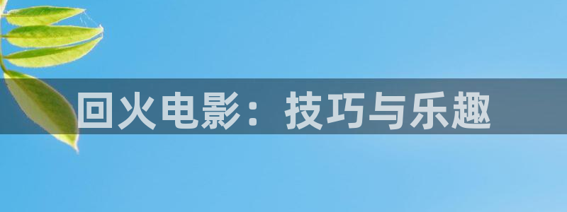 午夜神马影院理论电影：回火电影：技巧与乐趣
