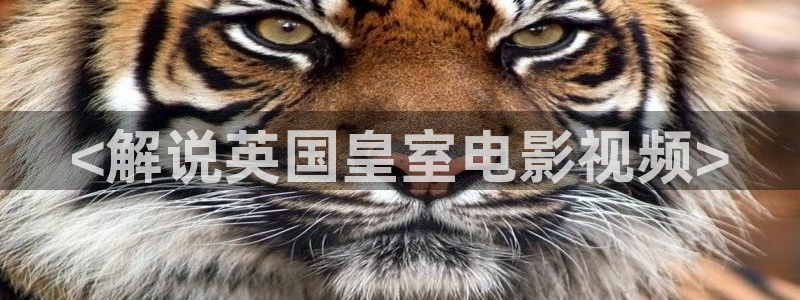 不卡影视神马影院：<解说英国皇室电影视频>