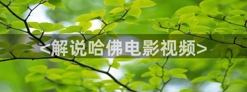 神马影院电影天堂：<解说哈佛电影视频>