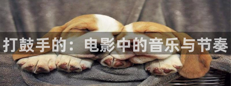 神马电影手机不卡理论：打鼓手的：电影中的音乐与节奏