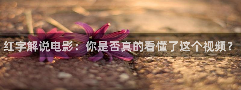我不卡神马午夜：红字解说电影：你是否真的看懂了这个视频？