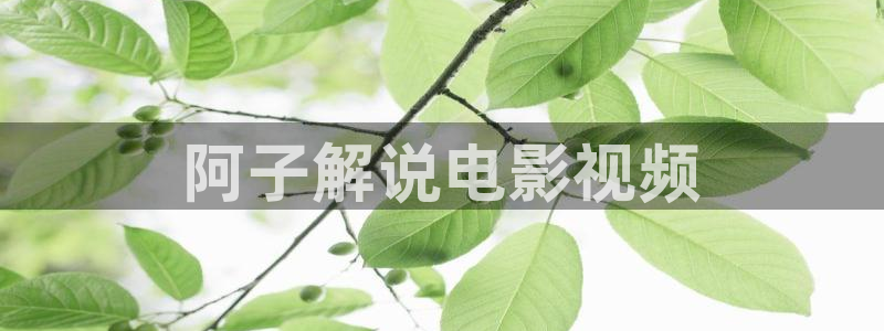神马影院狂飙电视剧全集免费播放：阿子解说电影视频