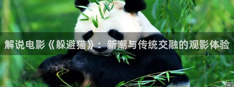 原来是神马电影免费观看电视剧